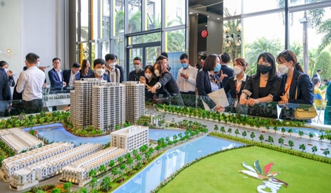 Trường hợp thu hồi Giấy phép, chấm dứt hoạt động của sàn giao dịch bất động sản từ 01/8/2024