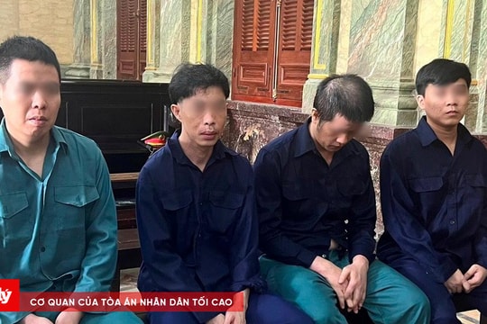 Bị lừa mất tiền, quay sang bắt giữ, đe dọa người làm trung gian