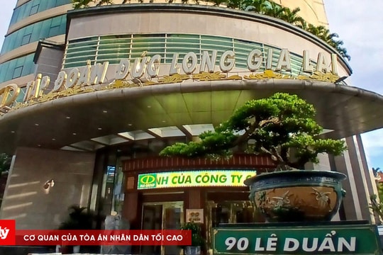 Không mở thủ tục phá sản đối với Tập đoàn Đức Long Gia Lai