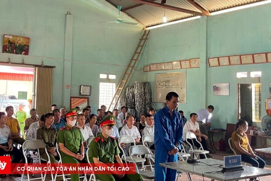 Lĩnh 3 năm tù vì tổ chức nhập cảnh trái phép