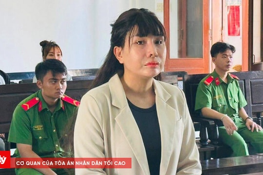 Rủ con thầy bói trộm tiền của nhà