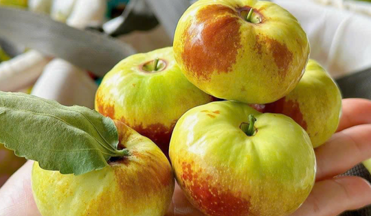 Gần 400 triệu USD nhập rau quả Trung Quốc, có loại về chợ giá cao ngất ngưởng