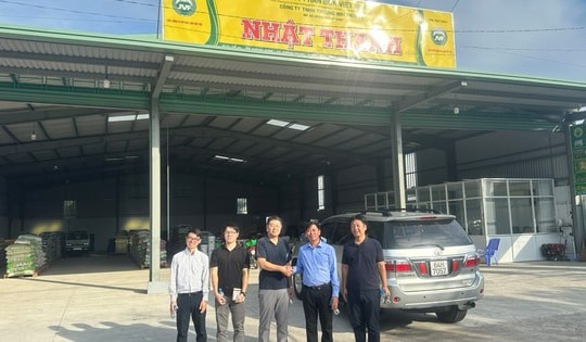 Khoai lang Nhật Thành – Đơn vị uy tín về sản xuất và xuất khẩu khoai lang tại Việt Nam