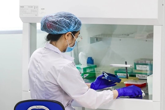 Bị vợ lừa suốt 10 năm, thầy giáo bật khóc ngay trong phòng xét nghiệm ADN