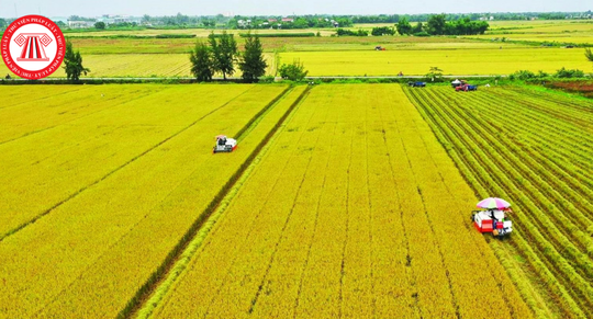 Tiêu chí phân bổ các chỉ tiêu trong quy hoạch sử dụng đất cấp tỉnh cho cấp huyện