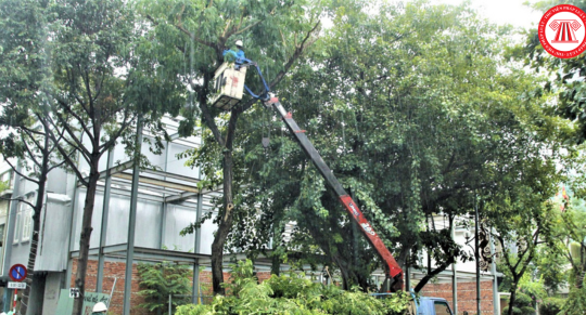 Nội dung công tác ứng phó, khắc phục bão tại Thành phố Đà Nẵng năm 2024