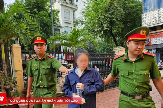 9 năm tù cho bị cáo bắt cóc hai bé gái ở phố đi bộ Nguyễn Huệ