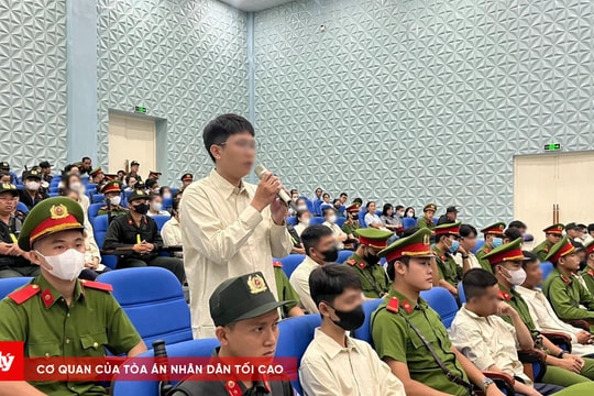 Trần Văn Châu và các đồng phạm đã uy hiếp, thu hồi nợ của 172.629 người vay