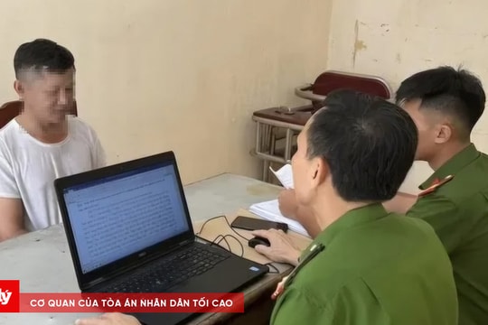 Hạt Phó Quản lý đường bộ trộm biển báo giao thông