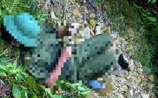 Tổ viên tổ bảo vệ an ninh tử vong khi tham gia chữa cháy rừng ở Quảng Bình