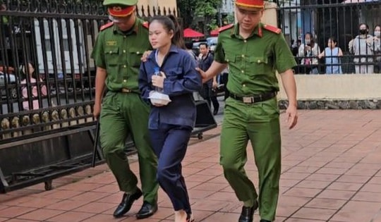 Xét xử vụ bắt cóc hai bé gái ở phố đi bộ Nguyễn Huệ