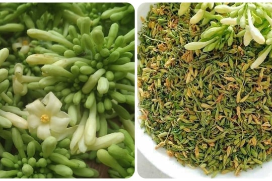 Hoa đu đủ tươi hay khô tốt hơn?