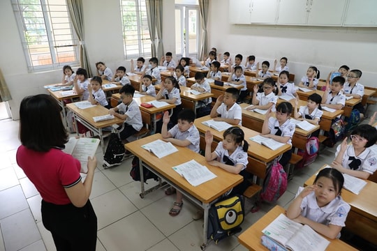 Mẫu đơn xin chuyển trường đối với học sinh tiểu học năm học 2024-2025