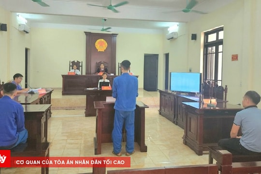 Tổ chức sinh nhật bằng ma túy, hai đối tượng lĩnh án