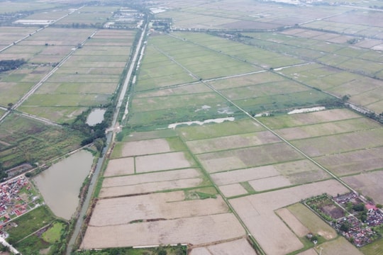 Hướng dẫn xử lý chuyển tiếp áp dụng Bảng giá đất đến hết ngày 31/12/2025