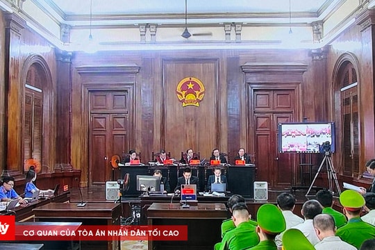 Xét xử đại án đăng kiểm: "Bị cáo chỉ phạm vào lỗi vô ý do quá tự tin"