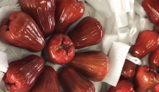 Cách chế biến quả roi thành món ăn giảm cân ít người biết