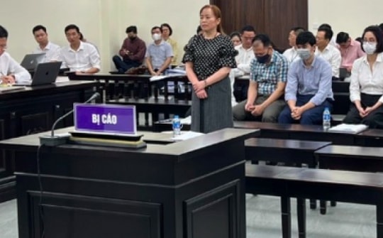 Lại hoãn tòa xử cựu chủ tịch Vimedimex Nguyễn Thị Loan và các đồng phạm