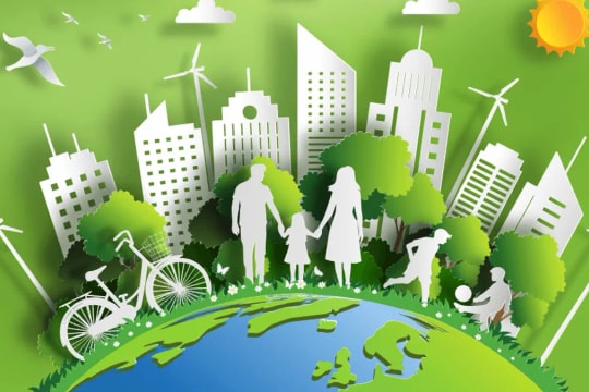 Các trường hợp bị thu hồi Giấy phép môi trường