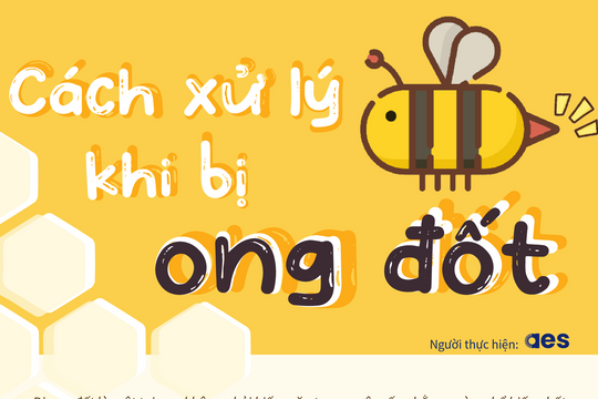Hướng dẫn cách xử trí khi bị ong đốt
