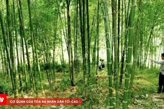 Bị dao phi trúng ngực khi đi đòi tiền hộ vợ hờ