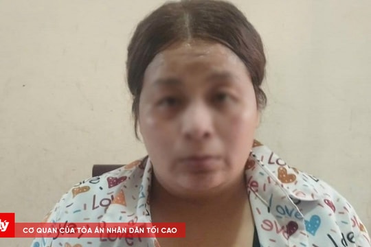 Hai đối tượng cầm đầu đường dây mua bán người