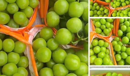 Thường xuyên ăn loại quả này bạn sẽ trẻ rất lâu, ổn định huyết áp, ngừa ung thư