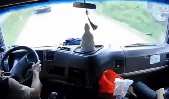 Video: Thót tim cảnh xe tải 'gây họa' vì không làm chủ tốc độ khi đổ đèo