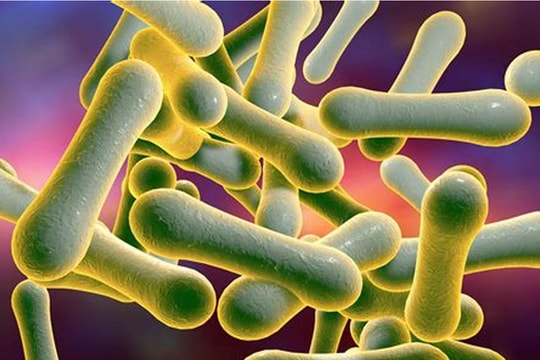 KHẨN: Tăng cường phòng, chống bệnh bạch hầu, không để lây lan kéo dài, trên diện rộng