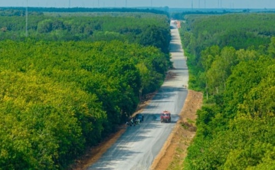 Hình hài tuyến đường Hồ Chí Minh đoạn xuyên rừng cao su xanh mướt ở Bình Dương