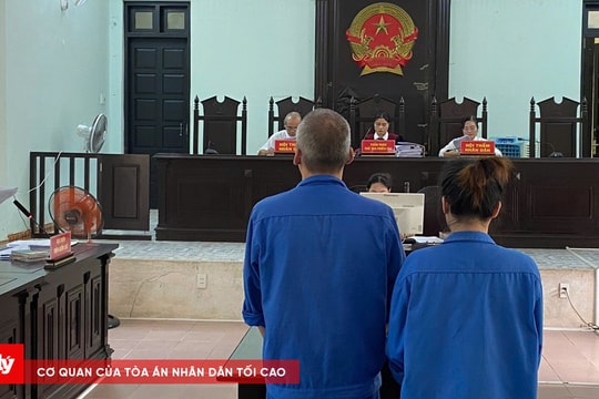 Hai anh em ruột môi giới mua bán thận để thu lợi