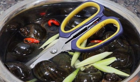 Công dụng cho thêm thìa Inox vào chậu ngâm ốc trước khi chế biến, kinh nghiệm quý báu và bình luận 'bá đạo' của cư dân mạng