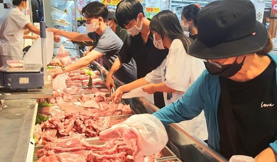 Giá thịt lợn tăng mạnh, nhiều ‘ông lớn’ chăn nuôi trúng đậm, lãi gấp chục lần