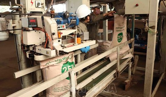 Thị trường phân bón trong nước: Giá giảm do nhu cầu tiêu thụ không cao