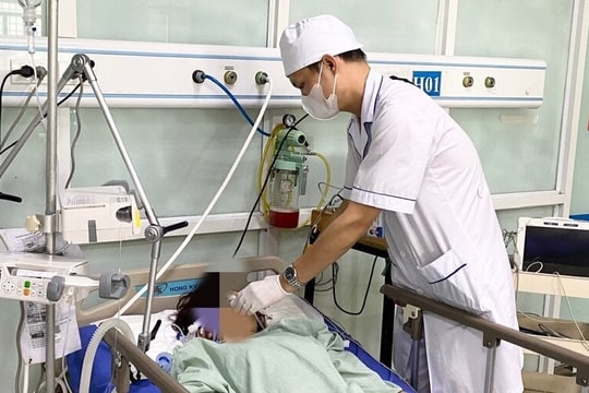 Sốc phản vệ nguy kịch sau khi bị ong bắp cày đốt