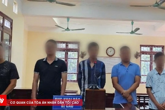 Tuyên án 5 bị cáo cá độ bóng đá qua mạng