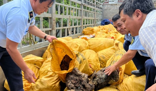 Quảng Bình: Thu giữ gần 11 tấn mỡ động vật bốc mùi hôi thối trên đường tiêu thụ