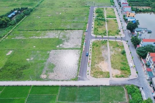 Đấu giá đất: Khi 'cò' thao túng