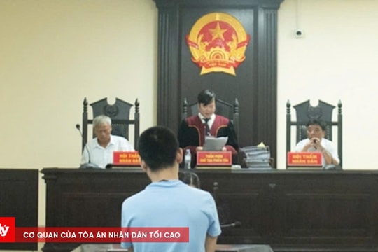 Thuê ô tô vận chuyển bò trộm cắp đi tiêu thụ