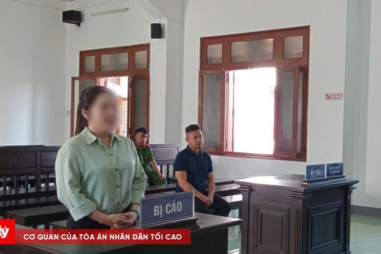 Lĩnh án 7 năm tù vì bán đất mua chung