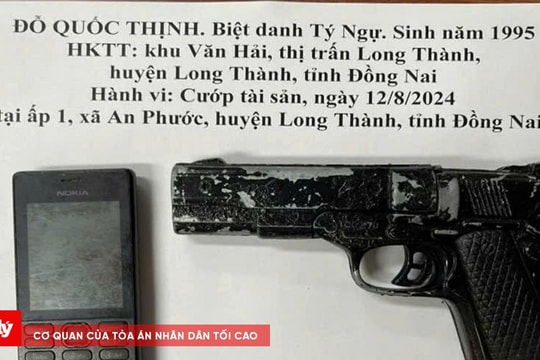 Dùng súng giả cướp tài sản rồi nhắn tin đòi tiền chuộc