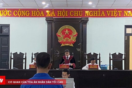 Nhiều lần gây rối, làm hư hỏng tài sản tại trụ sở cơ quan Nhà nước
