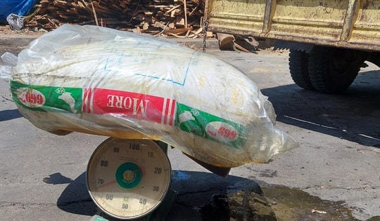 Bắt gọn gần 650 kg mỡ động vật bẩn, hôi thối, tiểu thương vẫn cố tình tiêu thụ