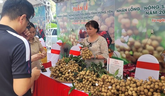 Đưa nhãn lồng Hưng Yên về Hà Nội với giá 'dùng thử', chưa đầy 30.000 đồng/kg, quả to tròn, mọng nước