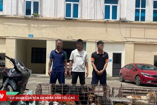 Triệt phá ổ nhóm chuyên trộm chó