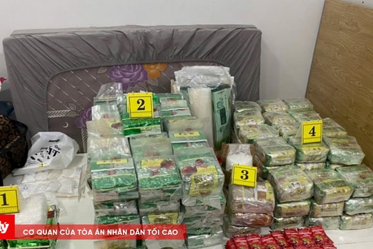 Chuyên án tiếp viên hàng không xách ma tuý: Khởi tố 1.038 bị can, thu giữ 323,5 kg ma túy