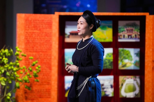 Nữ giám đốc HTX vừa "chốt kèo" đã rút ngay hợp đồng cho các Shark ký, giúp loại quả chỉ Lạng Sơn có nâng giá trị gấp 20 lần, được Shark Bình đề nghị livestream cùng