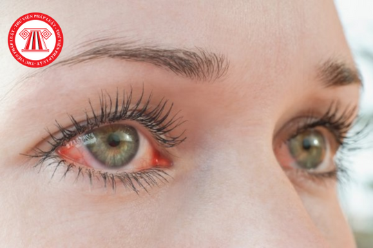 Mống mắt là gì? Người lao động có bắt buộc cung cấp mống mắt khi làm căn cước không?