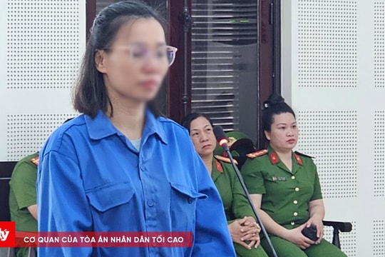 Môi giới cho người khác trốn đi nước ngoài