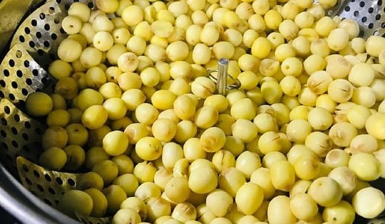 Hạt sen hỗ trợ điều trị nhiều bệnh và tốt cho người tiểu đường, bảo quản cách này để cả năm vẫn giữ được hương vị, không bị đen đầu hay khô cứng